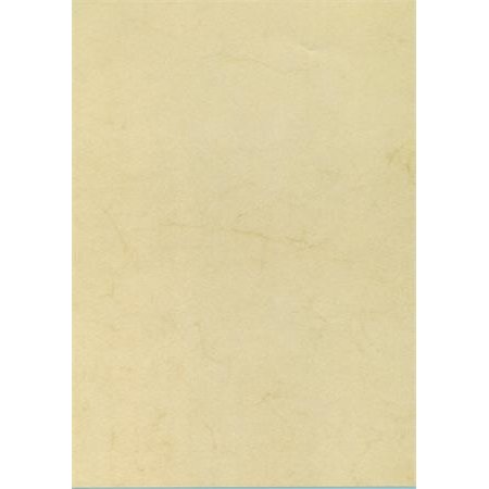 Predtlačený papier, A4, 200 g, APLI, havana