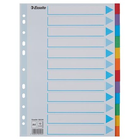 Register, kartón, A4, 12 dielny, popisovateľná predná strana, ESSELTE "Standard", farebný