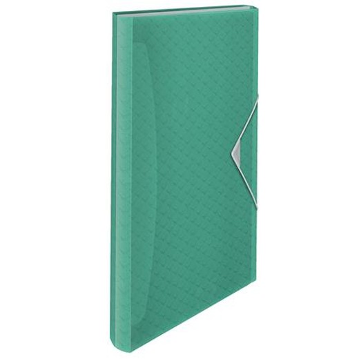 Harmoniková doska, A4, PP, 6 priehradiek, ESSELTE "Colour`Breeze", zelená