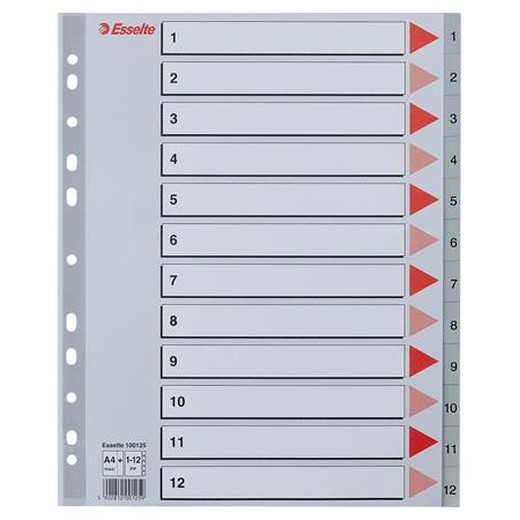Register, plastový, A4 Maxi, 1-12, ESSELTE, sivý