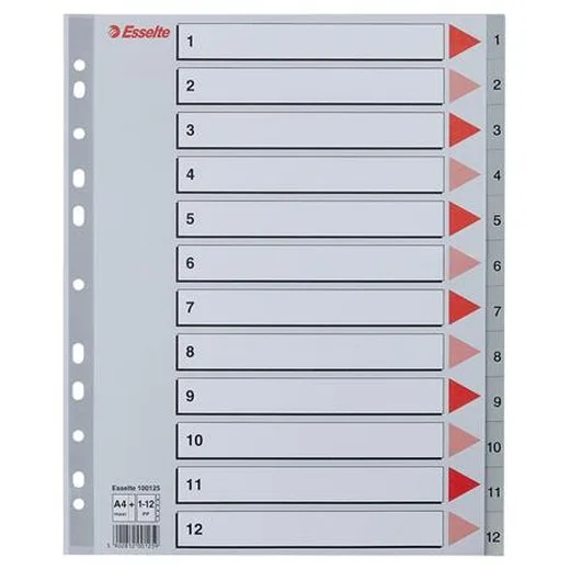 Register, plastový, A4 Maxi, 1-12, ESSELTE, sivý