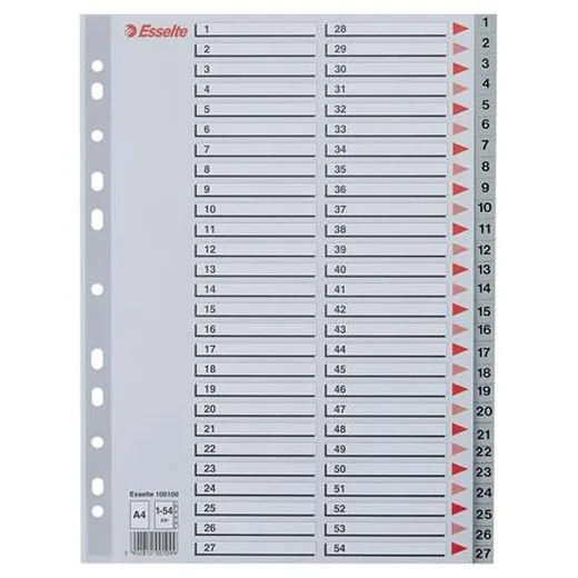 Register, plastový, A4, 1-54, ESSELTE, sivý