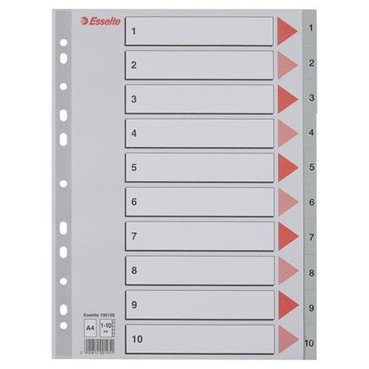 Register, plastový, A4, 1-10, ESSELTE, sivá