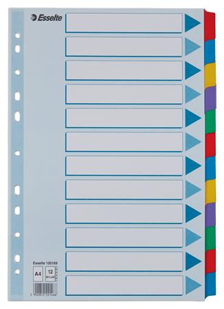 Register, laminovaný kartón, A4, 12 részes, ESSELTE "Mylar", farebný