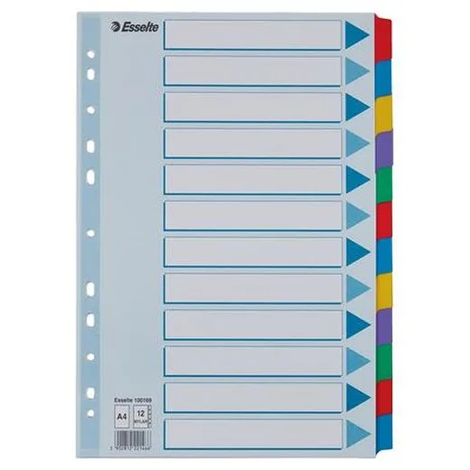 Register, laminovaný kartón, A4, 12 részes, ESSELTE "Mylar", farebný