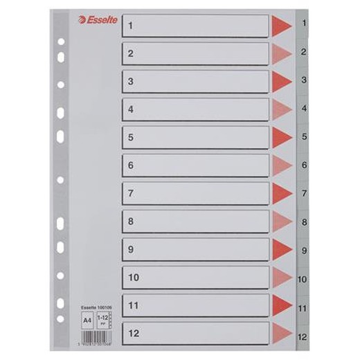 Register, plastový, A4, 1-12, ESSELTE, sivý