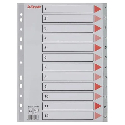 Register, plastový, A4, 1-12, ESSELTE, sivý