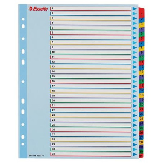 Register, laminovaný kartón, A4 Maxi, 1-31, prepisovateľný, ESSELTE
