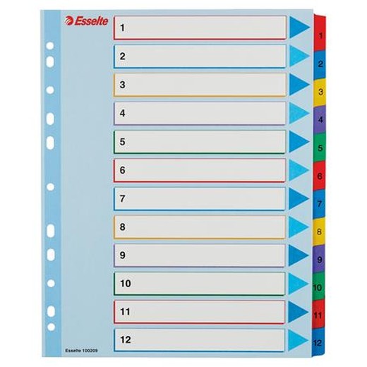 Register, laminovaný kartón, A4 Maxi, 1-12, prepisovateľný, ESSELTE
