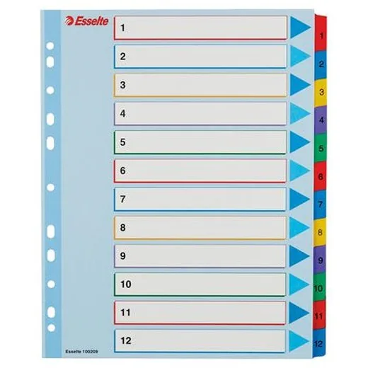 Register, laminovaný kartón, A4 Maxi, 1-12, prepisovateľný, ESSELTE