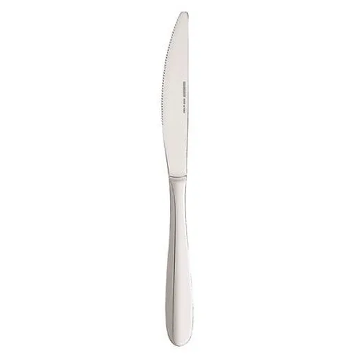 Nožík, nerezová oceľ, 21 cm, 12-kusový set, "Athen"