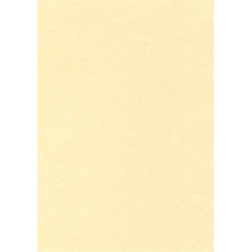 Predtlačený papier, A4, 95 g, pergamenový efekt, APLI, šampanské