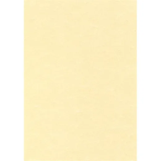 Predtlačený papier, A4, 95 g, pergamenový efekt, APLI, šampanské