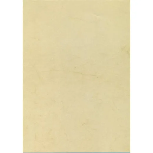 Predtlačený papier, A4, 200 g, APLI, havana