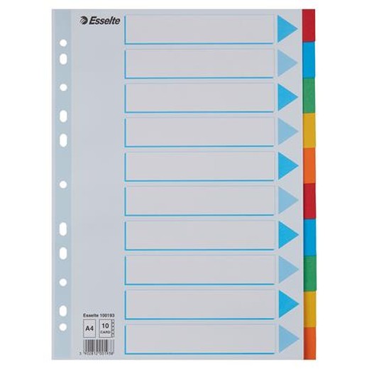 Register, kartónový, A4, 10 dielny, popisovateľná predná strana, ESSELTE "Standard", farebný
