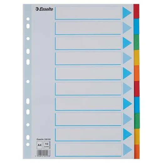 Register, kartónový, A4, 10 dielny, popisovateľná predná strana, ESSELTE "Standard", farebný