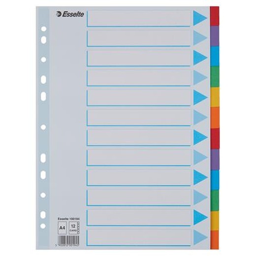 Register, kartón, A4, 12 dielny, popisovateľná predná strana, ESSELTE "Standard", farebný