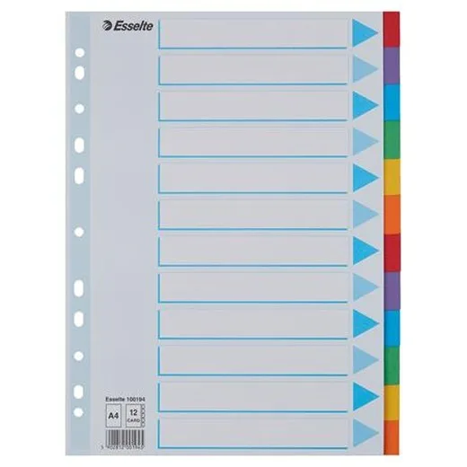 Register, kartón, A4, 12 dielny, popisovateľná predná strana, ESSELTE "Standard", farebný