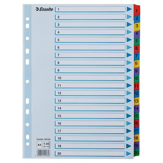 Register, kartón, A4, 1-20, ESSELTE "Mylar"