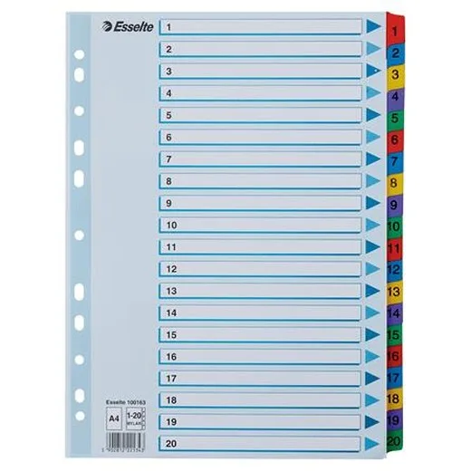 Register, kartón, A4, 1-20, ESSELTE "Mylar"