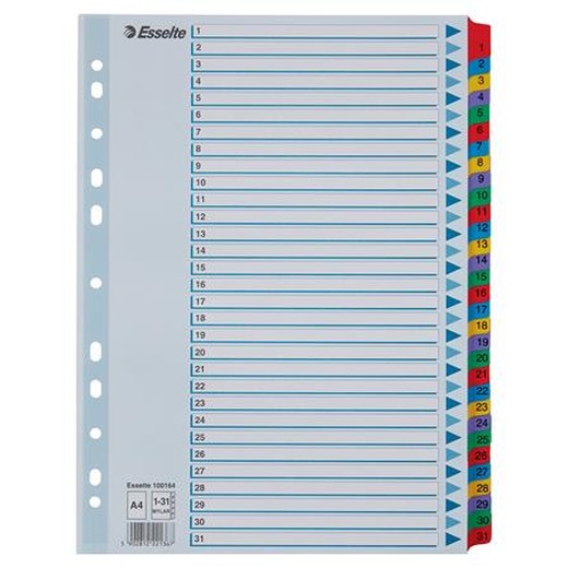 Register, kartón, A4, 1-31, ESSELTE "Mylar"