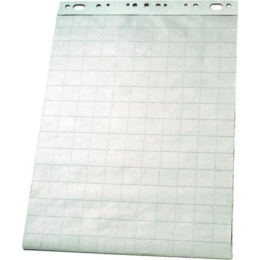 Flipchart papier, čistý-štvorčekový, 65 x 95,5 cm, 50 listov, ESSELTE