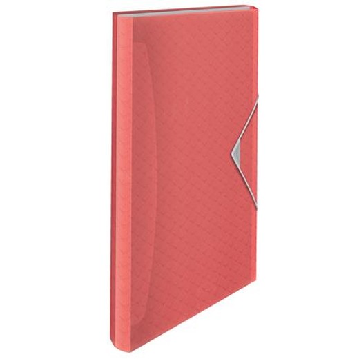 Harmoniková doska, A4, PP, 6 priehradiek, ESSELTE "Colour`Breeze", koralová