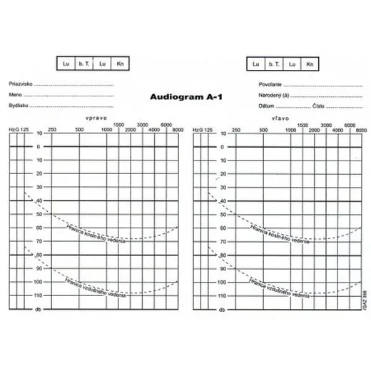 Audiogram  A5 karta
