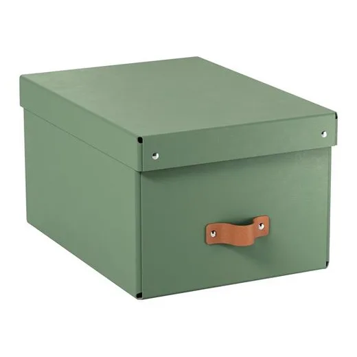 Úložný box, veľkosť M, LEITZ "Puro", zelený