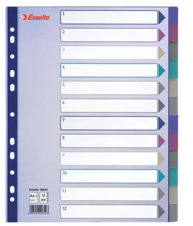 Register, plastový, A4 maxi, 12 častí, ESSELTE, farebný