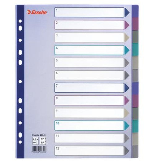 Register, plastový, A4 maxi, 12 častí, ESSELTE, farebný