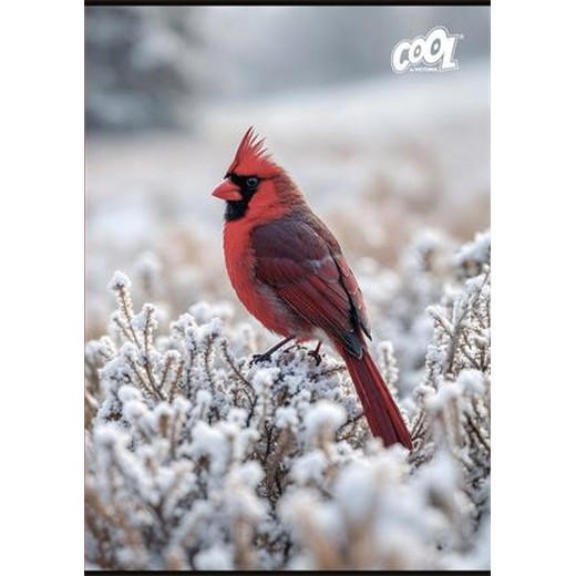 Zošit, A4, štvorčekový, 32 listov, COOL BY VICTORIA "Little Birds", "87-32"