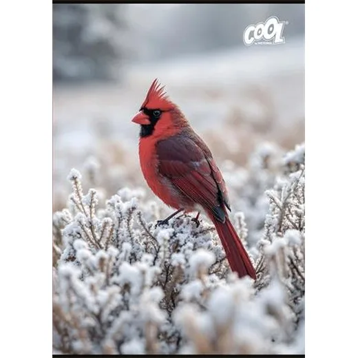 Zošit, A4, štvorčekový, 32 listov, COOL BY VICTORIA "Little Birds", "87-32"