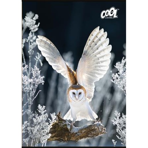 Zošit, A4, čistý, 80 listov, COOL BY VICTORIA "Wise Wings"