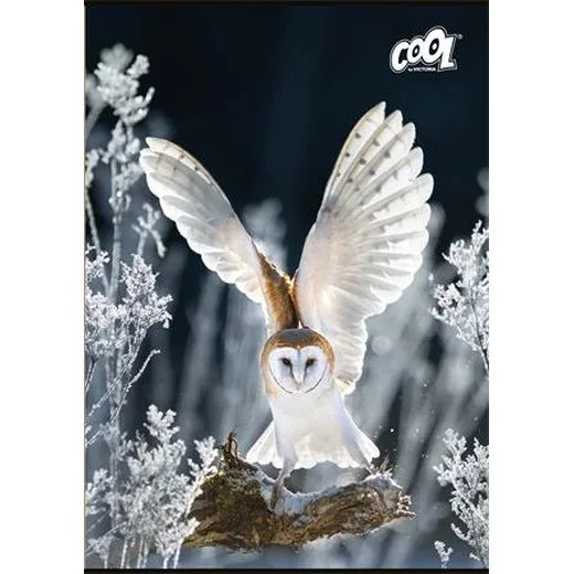 Zošit, A4, čistý, 80 listov, COOL BY VICTORIA "Wise Wings"