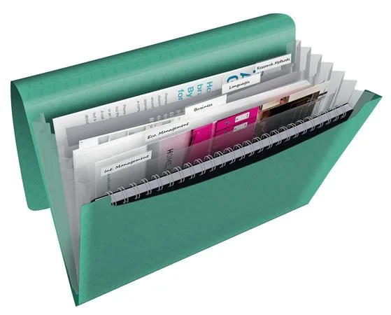 Harmoniková doska, A4, PP, 6 priehradiek,  ESSELTE "Colour`Breeze", zelená 2