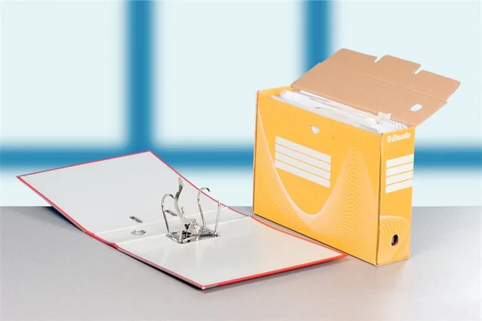 Archívny box, A4, 100 mm, kartón, ESSELTE "Boxycolor", žltý 2