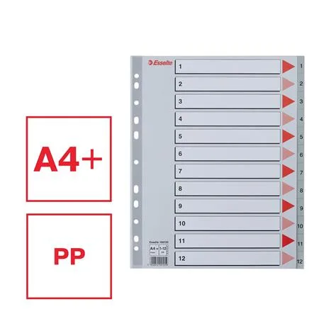 Register, plastový, A4 Maxi, 1-12, ESSELTE, sivý 2