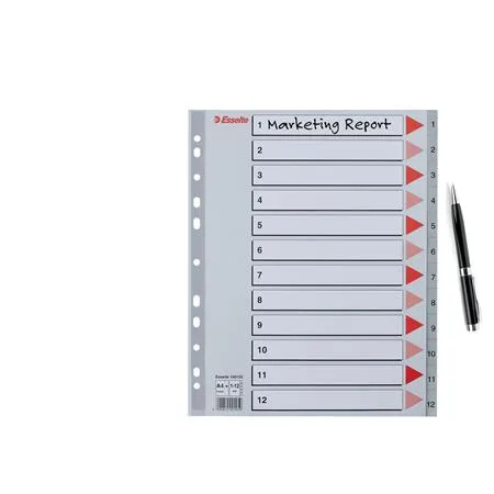 Register, plastový, A4 Maxi, 1-12, ESSELTE, sivý 4