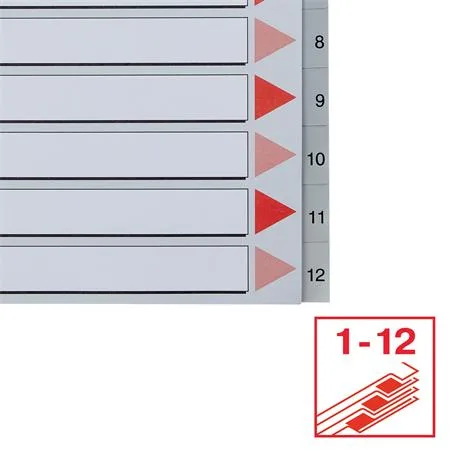 Register, plastový, A4 Maxi, 1-12, ESSELTE, sivý 5