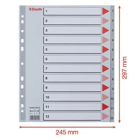 Register, plastový, A4 Maxi, 1-12, ESSELTE, sivý 6