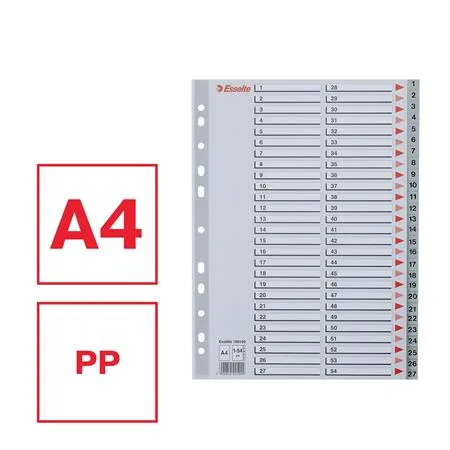 Register, plastový, A4, 1-54, ESSELTE, sivý 2