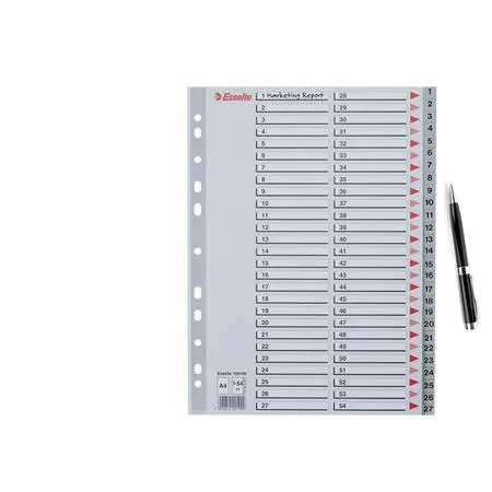 Register, plastový, A4, 1-54, ESSELTE, sivý 4