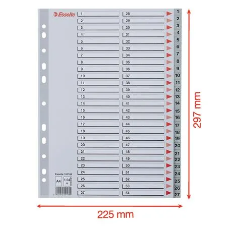 Register, plastový, A4, 1-54, ESSELTE, sivý 6