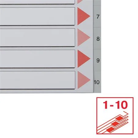 Register, plastový, A4, 1-10, ESSELTE, sivá 5