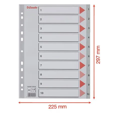 Register, plastový, A4, 1-10, ESSELTE, sivá 6