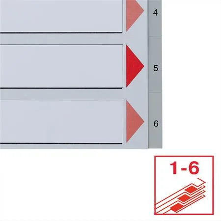 Register, plastový, A4, 1-6, ESSELTE, sivá 5