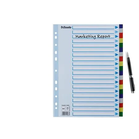 Register, plastový, A4, 20 dielny, ESSELTE 2