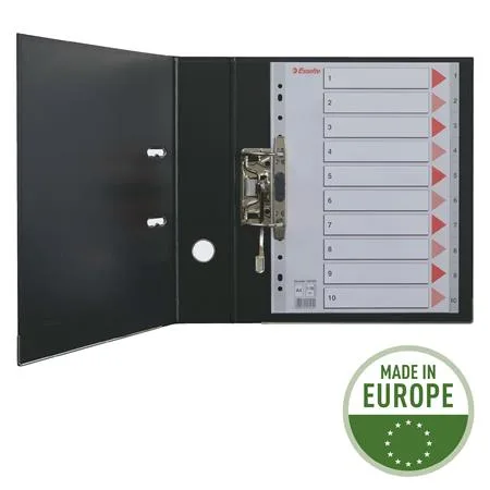 Register, laminovaný kartón, A4, 12 részes, ESSELTE "Mylar", farebný 3