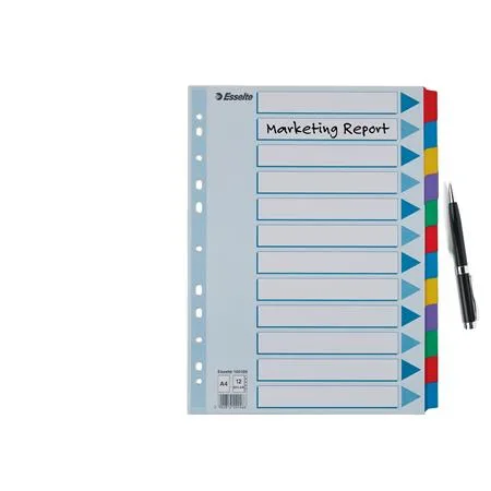 Register, laminovaný kartón, A4, 12 részes, ESSELTE "Mylar", farebný 4